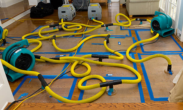 Professional Crawl Space Water Removal technician working in Merlin, OR